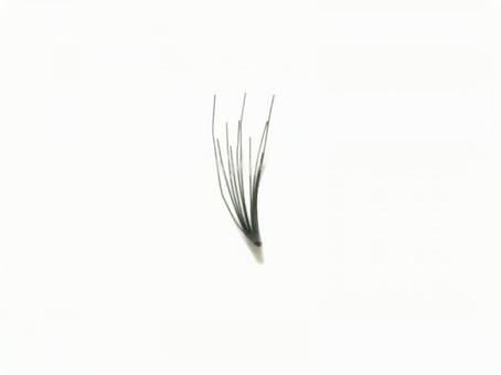 まつエクがすぐ取れる原因と対策｜よくある理由と見直すポイント